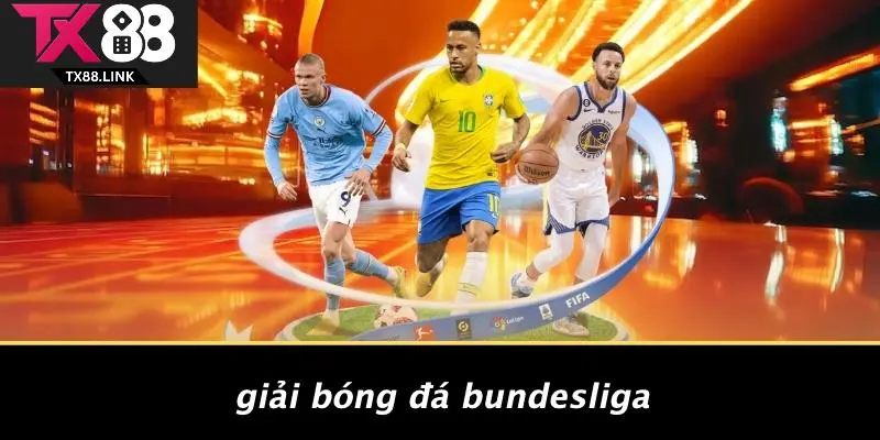 CÁC GIẢI BÓNG ĐÁ HÀNG ĐẦU: HÒA MÌNH VÀO ĐAM MÊ BÓNG ĐÁ 2 Giải Bóng Đá Bundesliga